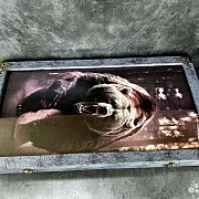 Нарды под стеклом «Свирепый медведь» — фотография 10