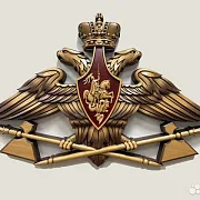Резной герб МТО ВС РФ из бука — оригинальный подарок — фотография 1